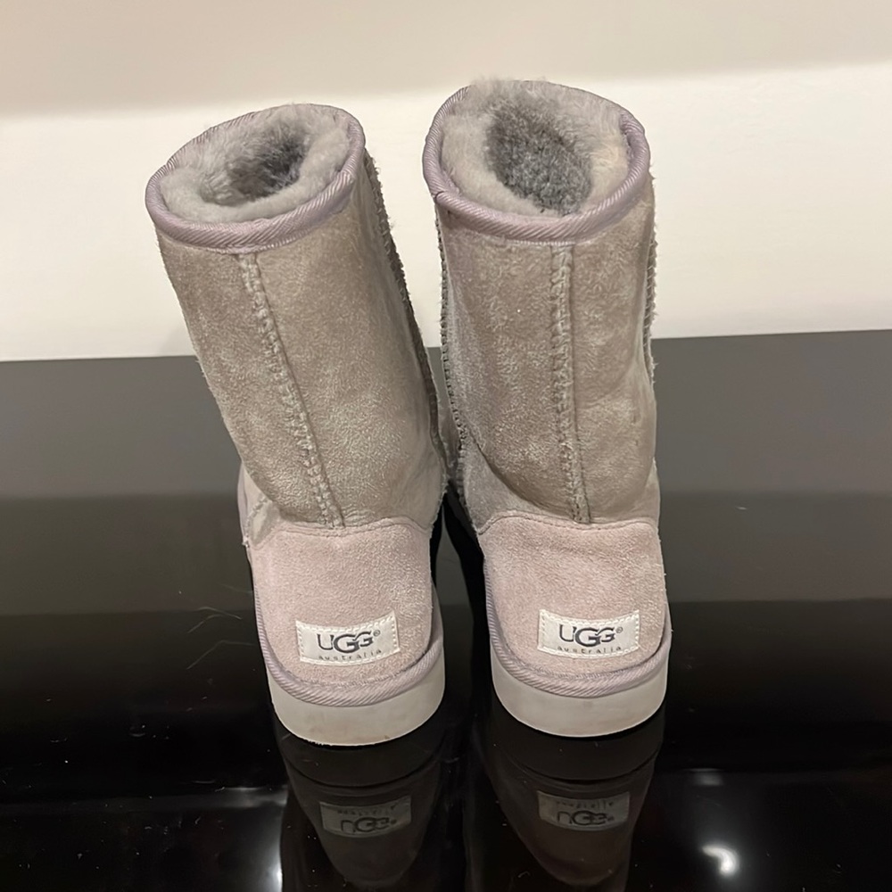 Classic Short Grey Uggs